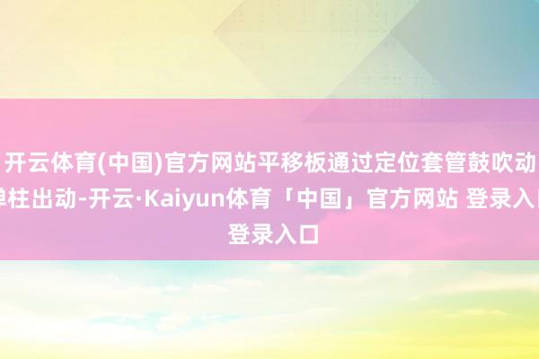 开云体育(中国)官方网站平移板通过定位套管鼓吹动掸柱出动-开云·Kaiyun体育「中国」官方网站 登录入口